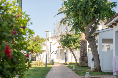 Minura Sur Menorca foto 8