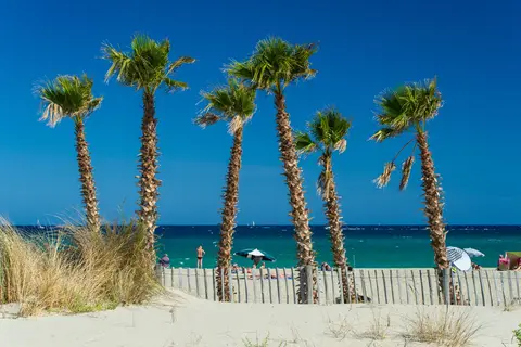 Le Soleil De La Mediterranee in Saint-Cyprien — foto 18
