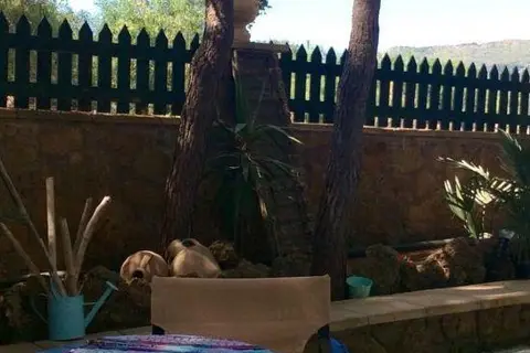 Hotel Vasilikos Beach in Δημοτική Ενότητα Ζακυνθίων — foto 30