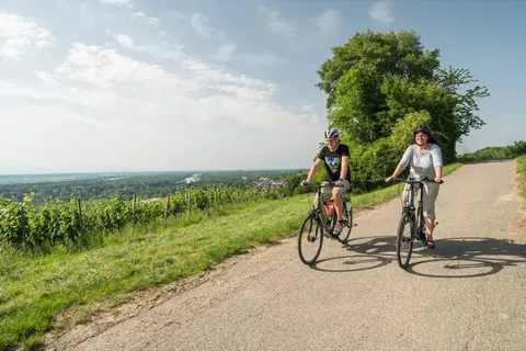 Hotel Markushof in Bad Bellingen — foto 12