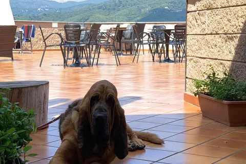 Vakantiepark Villaggio Colombo in Andora — foto 36