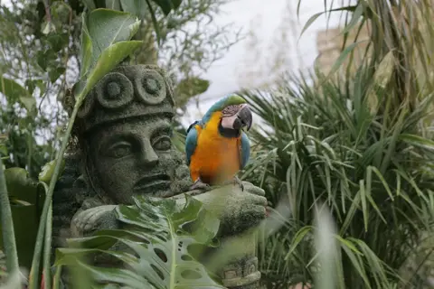 Hotel Magic Natura in Benidorm — foto 17