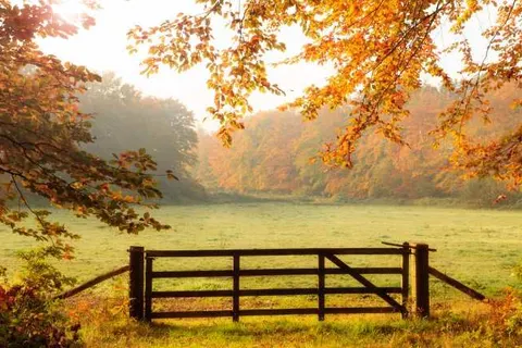 Buitenplaats in den Olden Bongerd foto 14