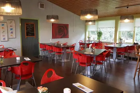 Camping De Bronzen Emmer in Coevorden — foto 12