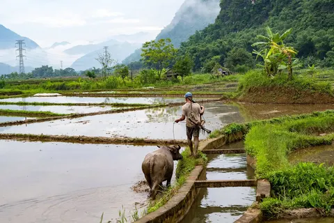 Traditioneel Vietnam in Vietnam — foto 9
