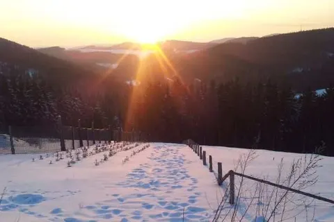 Landgasthof Nesselbach foto 18