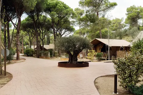 Wecamp L Escala Punta Milà in l'Escala — foto 6