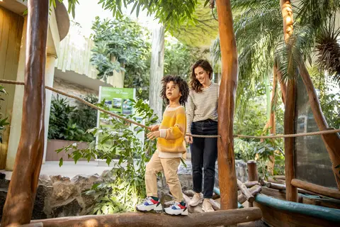 Center Parcs Park De Haan in Vlissegem — foto 7