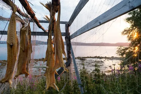 Ontdek Tromsø en de Noordkaap foto 20