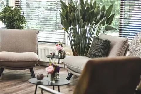 Witte Berken Natuurhotel foto 34