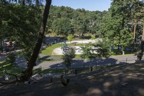 Brunssummerheide in Brunssum — foto 14