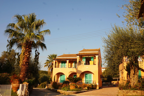 Appartementen Artemis foto 13