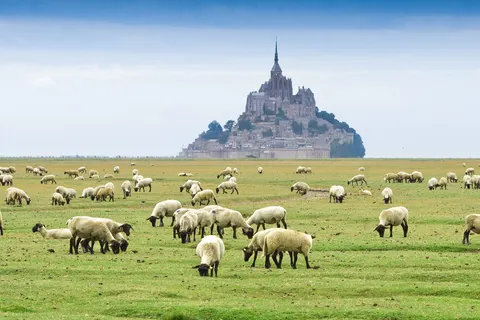 Camping La Vallée foto 30