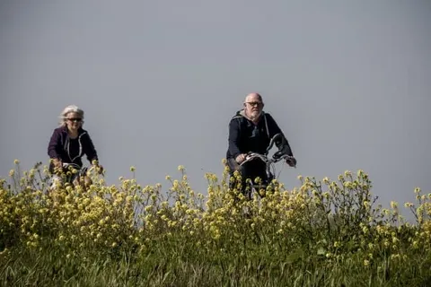 Bungalowpark It Wiid foto 16