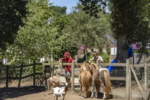 Camping Au Bocage Du Lac foto 6