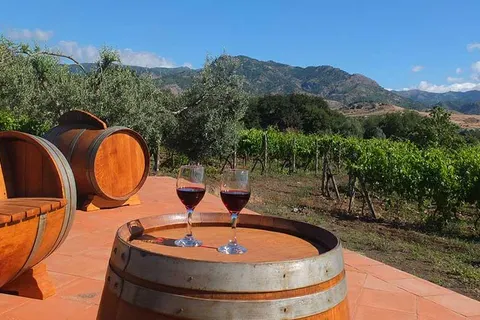 Tenuta Madonnina in Castiglione di Sicilia — foto 23