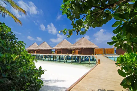 Mirihi Island Resort in Mirihi — foto 3