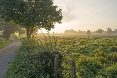 Landgoed Kasteel Daelenbroeck foto 21