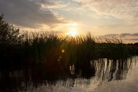 Hotel & Restaurant Princenhof foto 28