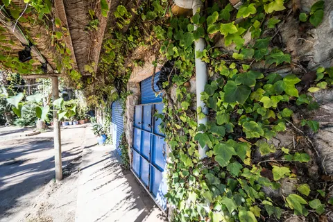 Camping Cala Llevado foto 10