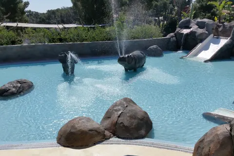 Camping Cala Gogo Internacional foto 27