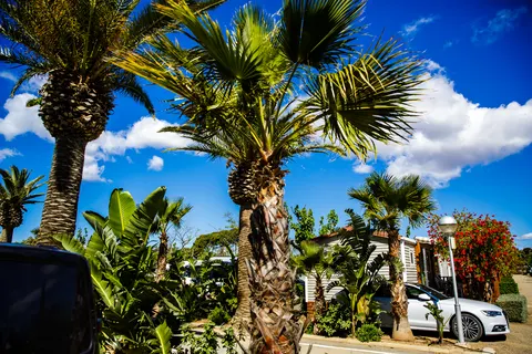 Camping La Llosa foto 13