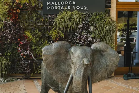 Lindner Hotel Mallorca Portals Nous, part of JdV by Hyatt in Calvià — foto 14