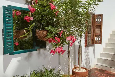 Paradera Park in Paradera — foto 16