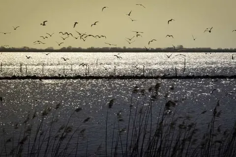 Bed and Breakfast Pension Perruque foto 16