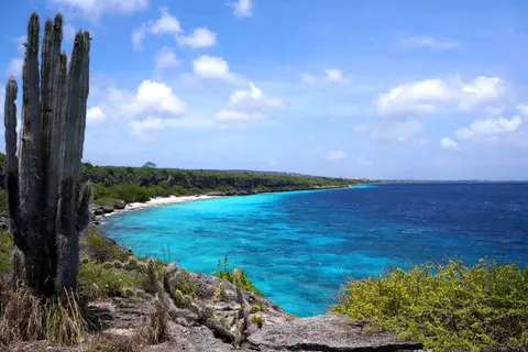 Cruise Only van IJmuiden naar Curaçao in Willemstad — foto 4