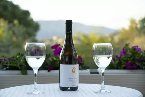 Art Hotel Debono in Corfu, foto 28