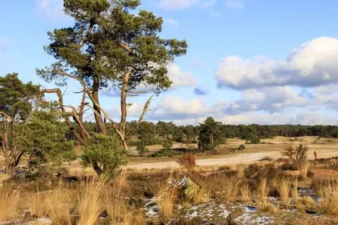 Hotel Café Restaurant De Gouden Karper foto 25