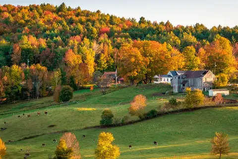 Charming New England foto 6