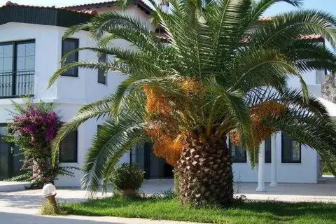 Club Mel Apart foto 4