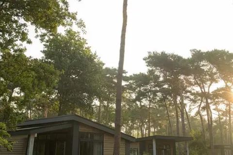 Vakantiepark de Kleine Belties foto 16