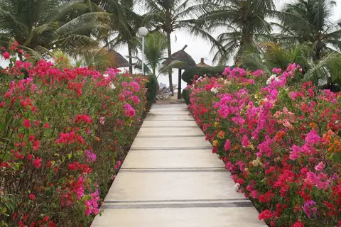 Royam Hotel in Saly — foto 21
