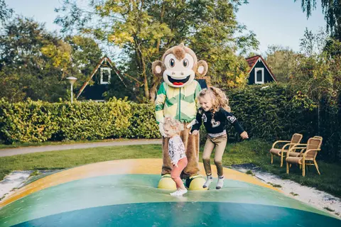 Vakantiepark T Hooge Holt in Gramsbergen
