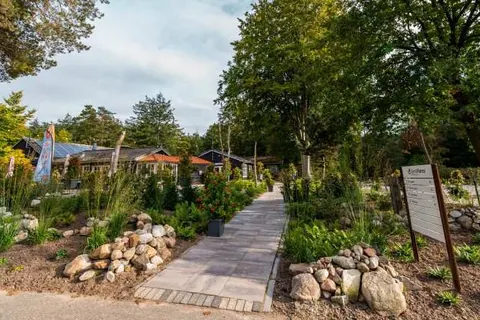Vakantiepark De Wiltzangh in Ruinen — foto 20