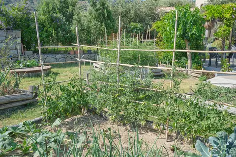 Tenuta Edoné in Graniti — foto 18