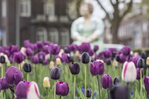 DoubleTree by Hilton Sittard foto 25