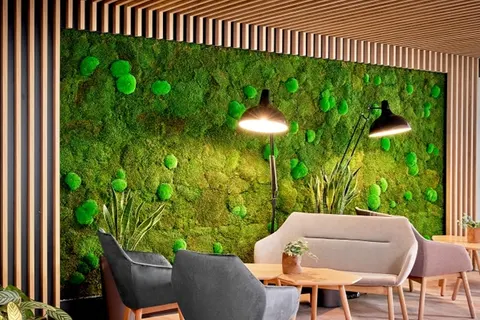 Hotel Ever Grün foto 31