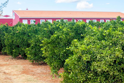 Quinta dos I's foto 12