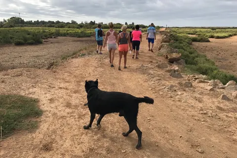 Camping Bleu Marine foto 19