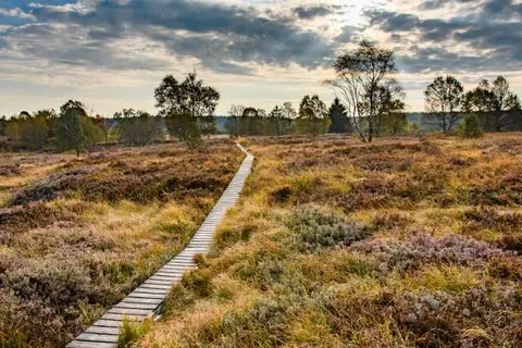 Hotel Le Postillon foto 17