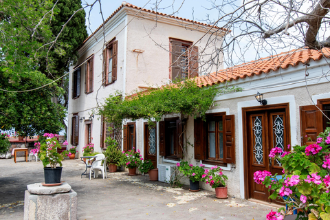 Appartementen Lela Kaptani Eftalou Olive Grove foto 1