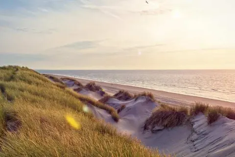 Hotel Blooker foto 28