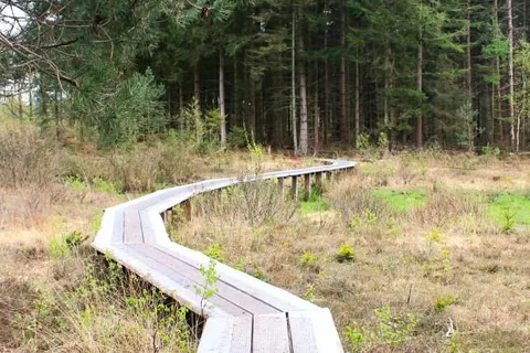 Grenzeloos Slapen-Eten-Beleven foto 35