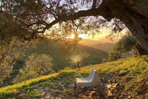 Finca las Nuevas foto 5