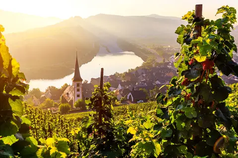 Moselromantik Hotel am Panoramabogen in Cochem — foto 44