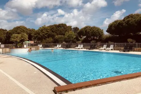 Flower Le Platin Redoute in Rivedoux-Plage — foto 14